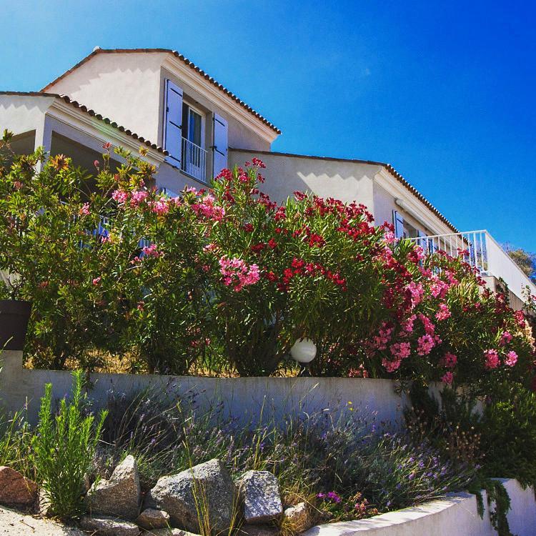 Residence Castugna Cargèse Exterior foto